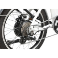 20 Inch Adult Electric Folding Bike 500W/ Lithium Battery Powered Folding Bike
